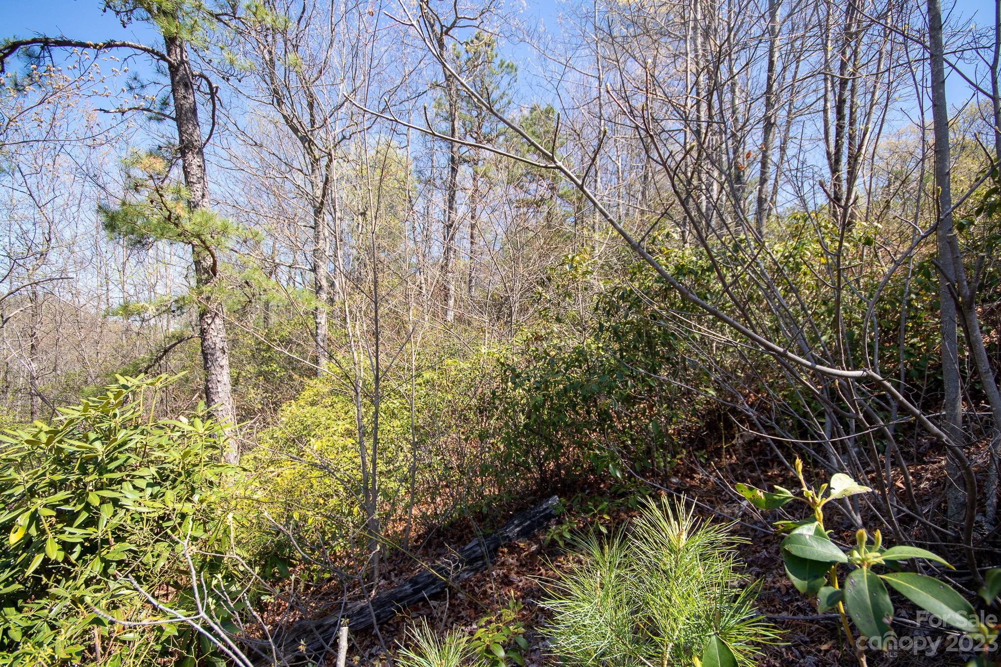 Lot# 513 Fire Crest Lane Lenoir NC 28645