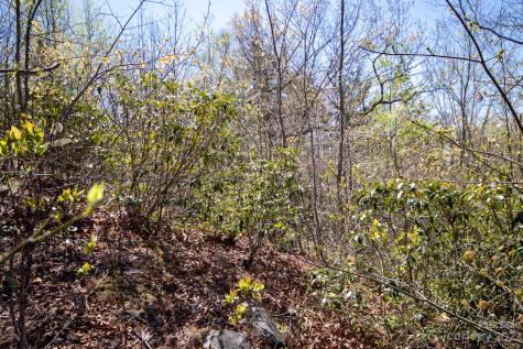 Lot# 513 Fire Crest Lane Lenoir NC 28645