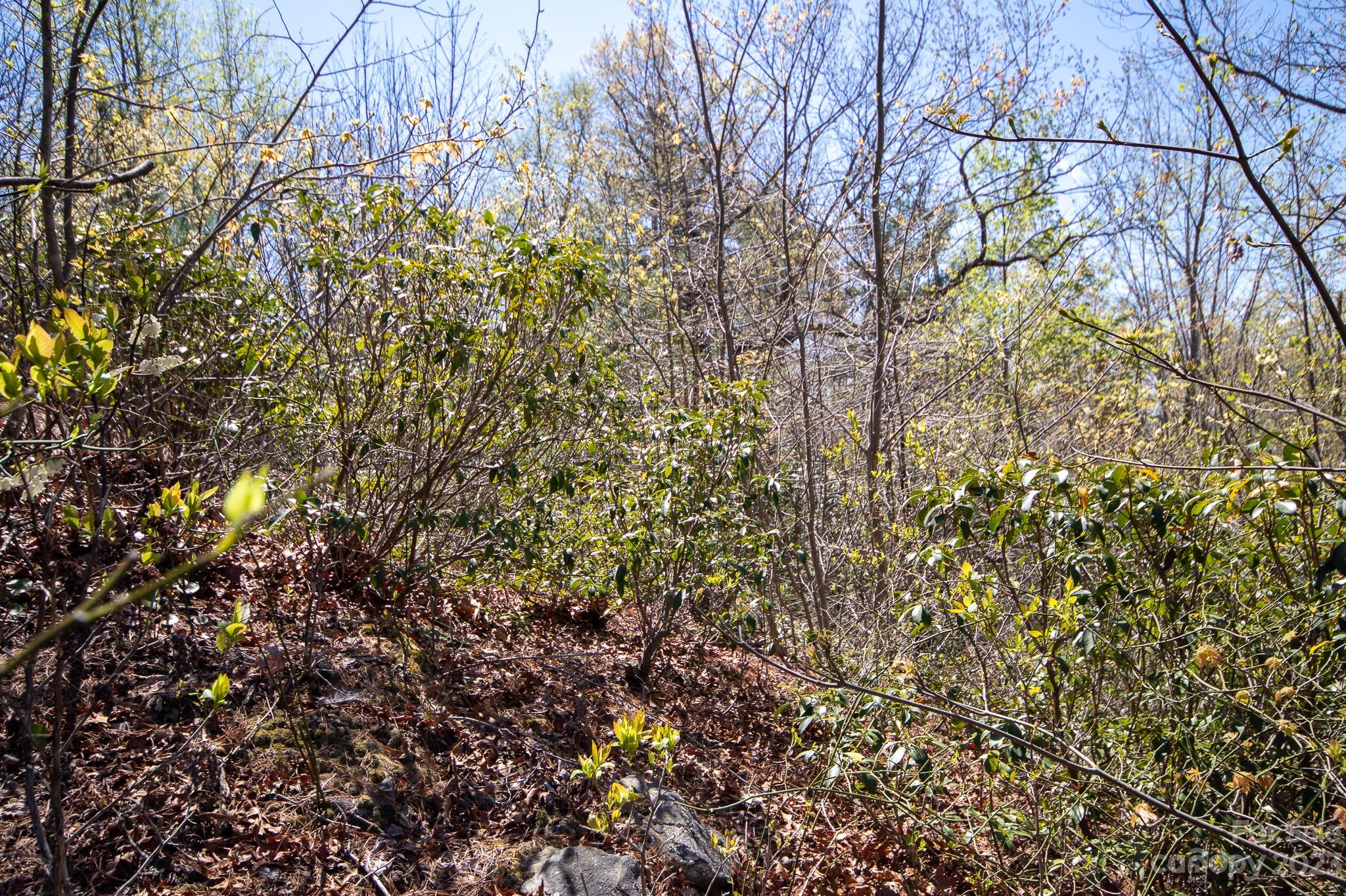 Lot# 513 Fire Crest Lane Lenoir NC 28645
