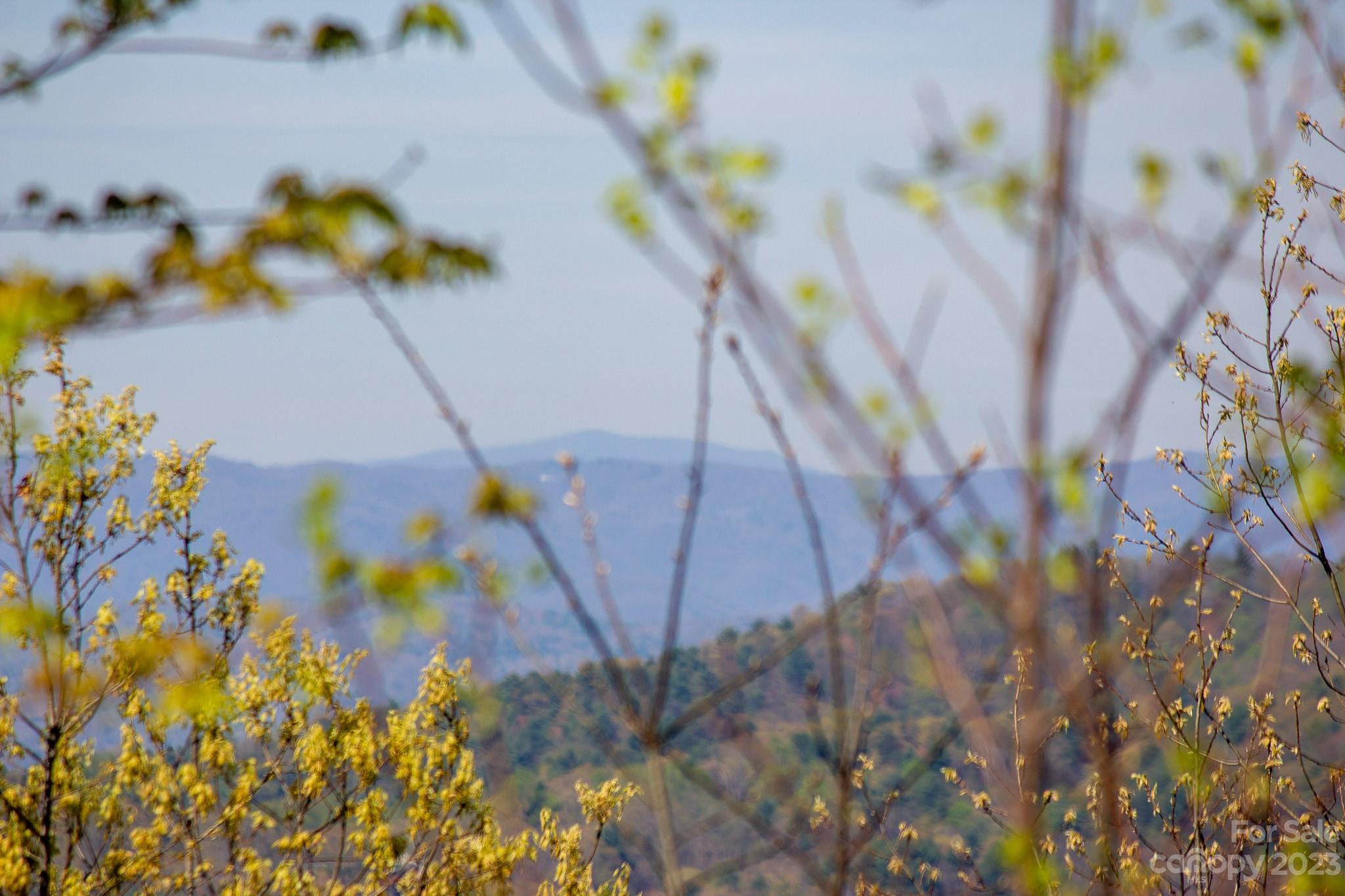 Lot# 513 Fire Crest Lane Lenoir NC 28645