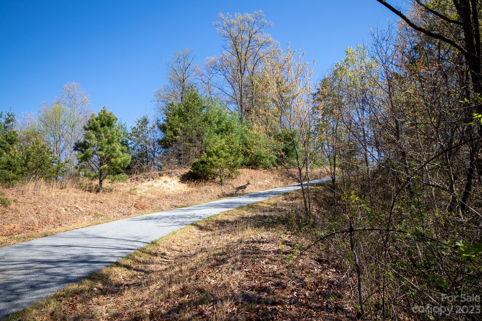Lot# 513 Fire Crest Lane Lenoir NC 28645