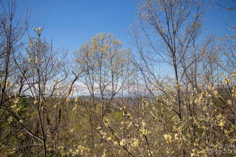 Lot# 513 Fire Crest Lane Lenoir NC 28645