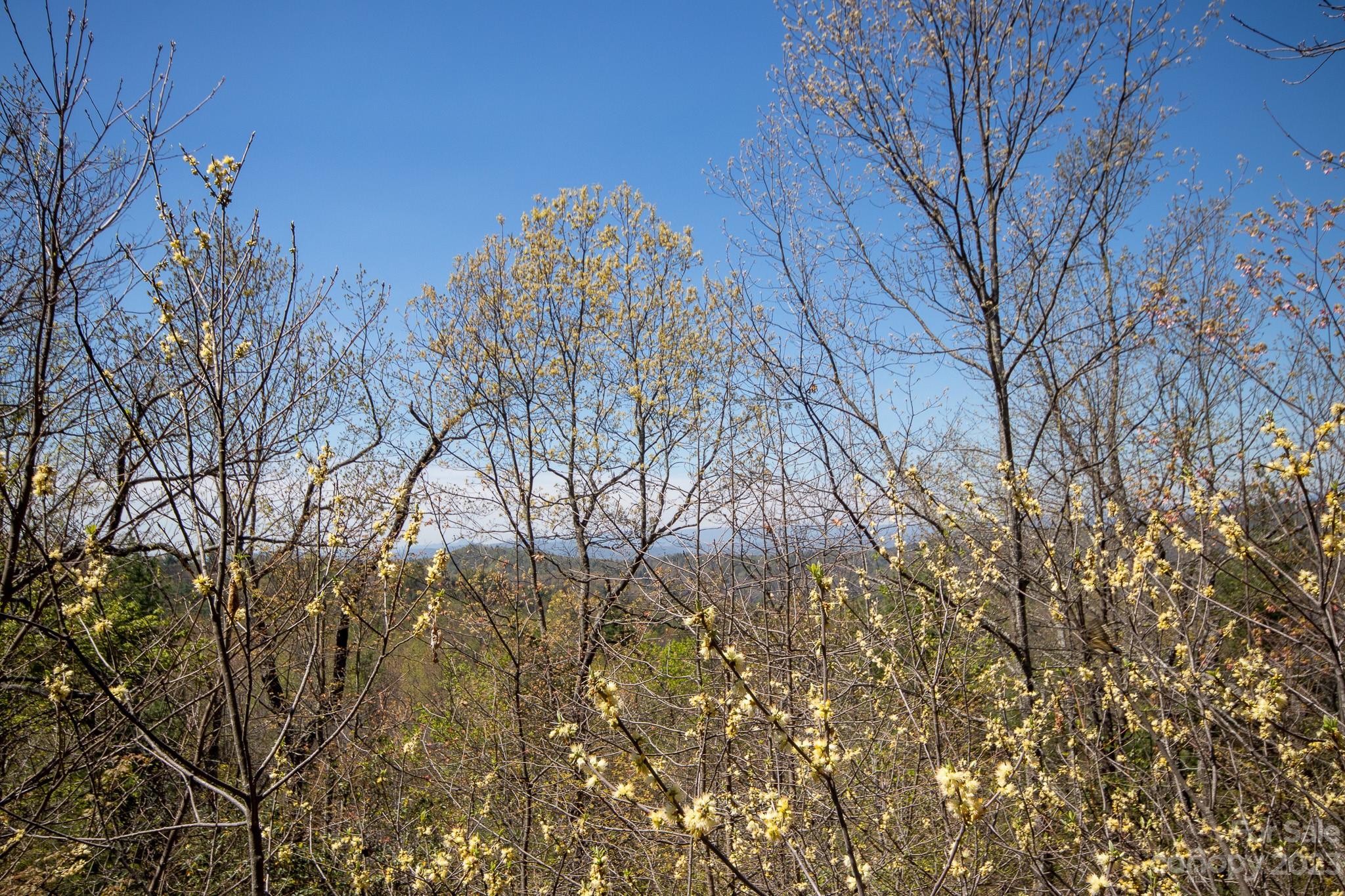 Lot# 513 Fire Crest Lane Lenoir NC 28645
