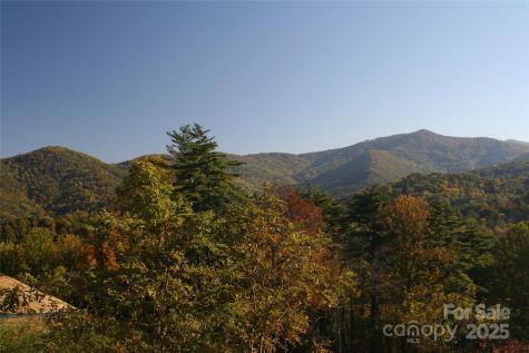 68 Wolfebridge Lane Asheville NC 28804