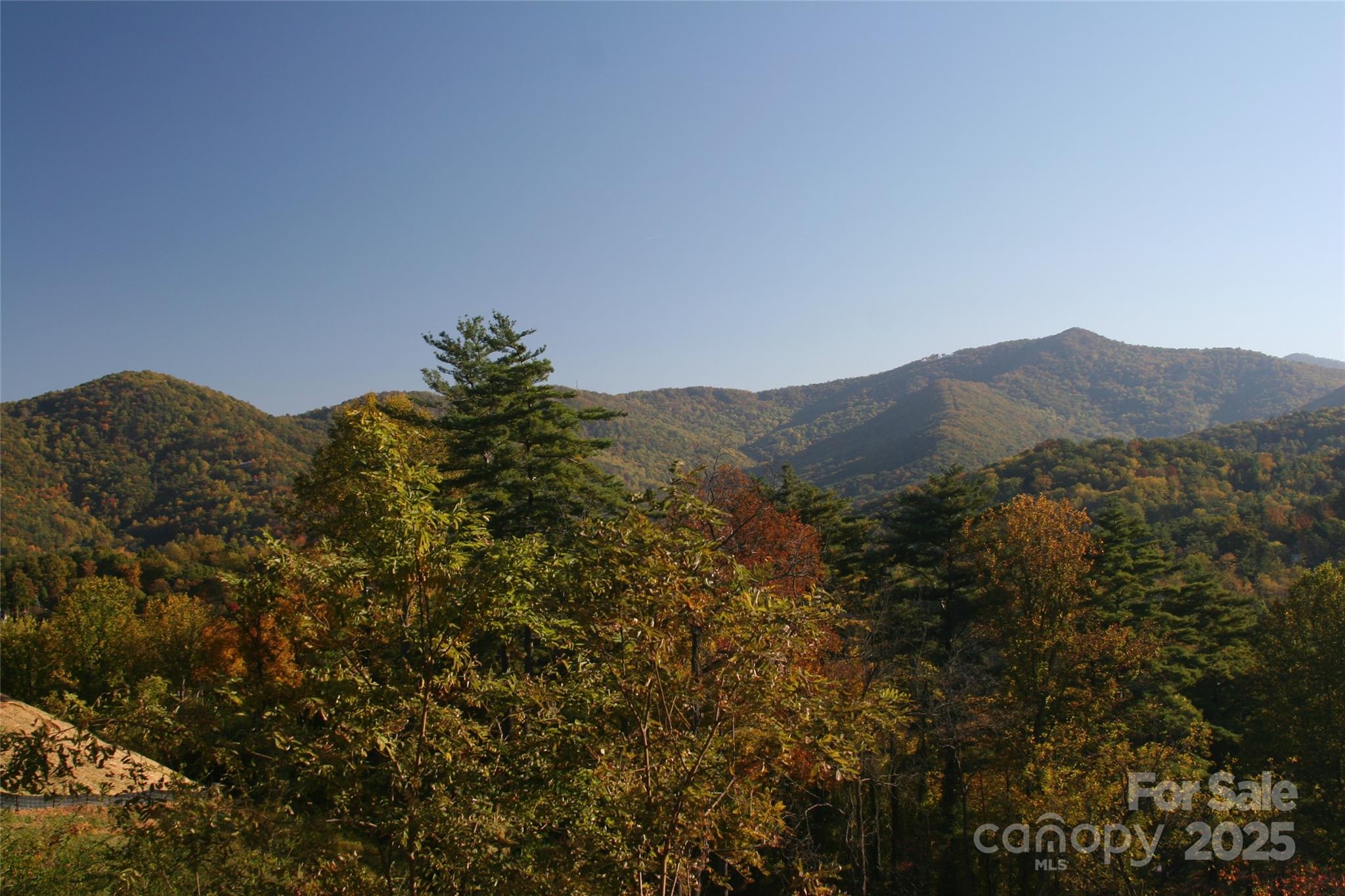 68 Wolfebridge Lane Asheville NC 28804