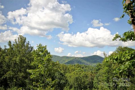 68 Wolfebridge Lane Asheville NC 28804