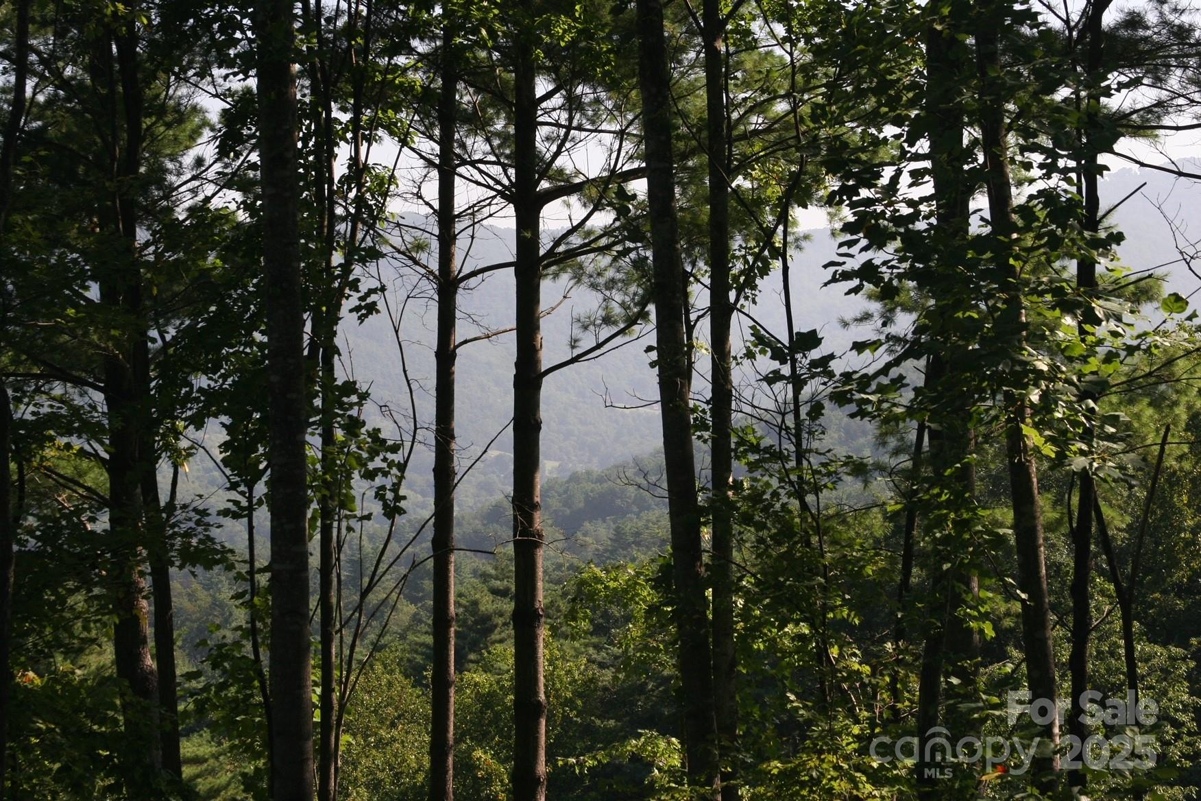 68 Wolfebridge Lane Asheville NC 28804