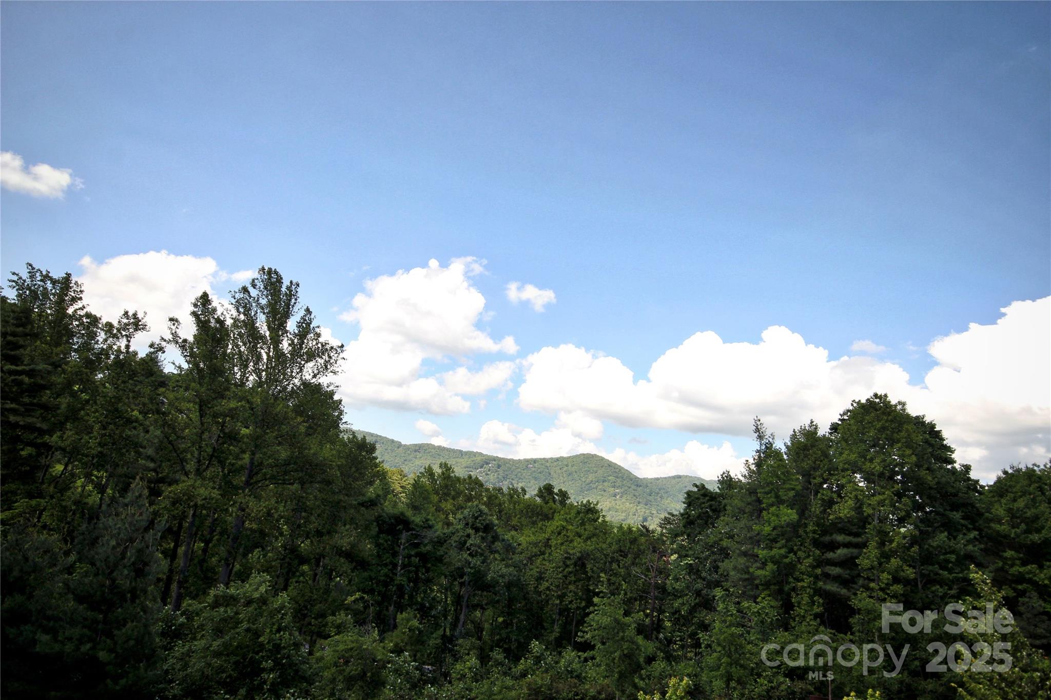 68 Wolfebridge Lane Asheville NC 28804