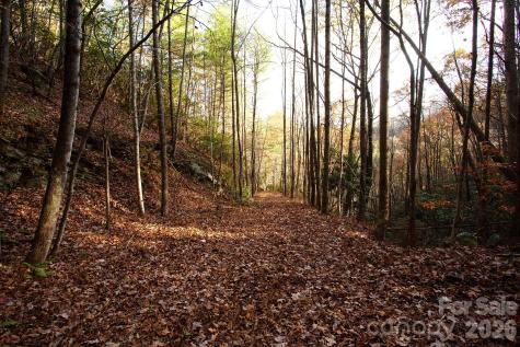 Tbd Rector Branch Road Marshall NC 28743