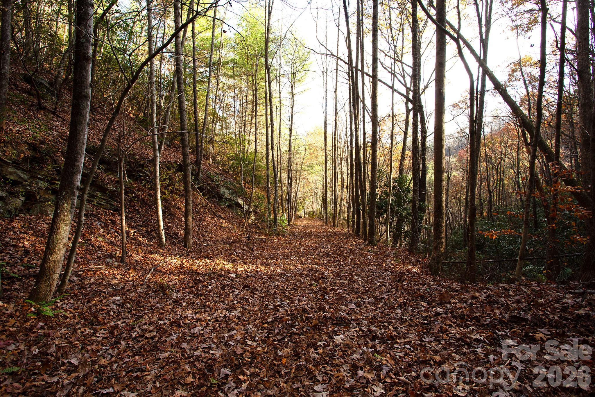 Tbd Rector Branch Road Marshall NC 28743
