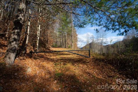 Tbd Rector Branch Road Marshall NC 28743