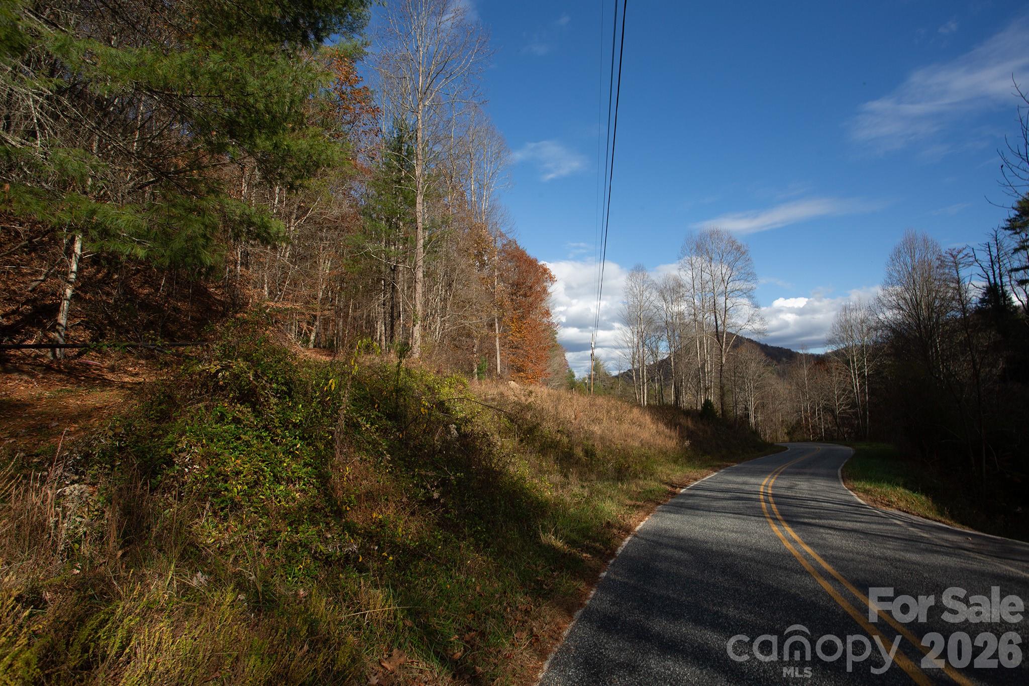 Tbd Rector Branch Road Marshall NC 28743