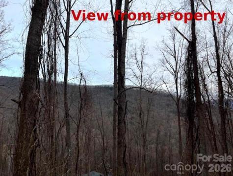 65 Weeping Cherry Forest Road Fairview NC 28730