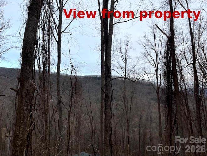 65 Weeping Cherry Forest Road Fairview NC 28730