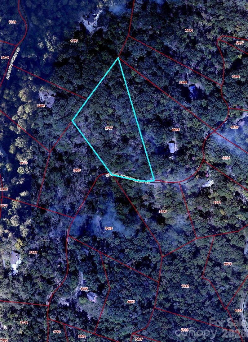 65 Weeping Cherry Forest Road Fairview NC 28730