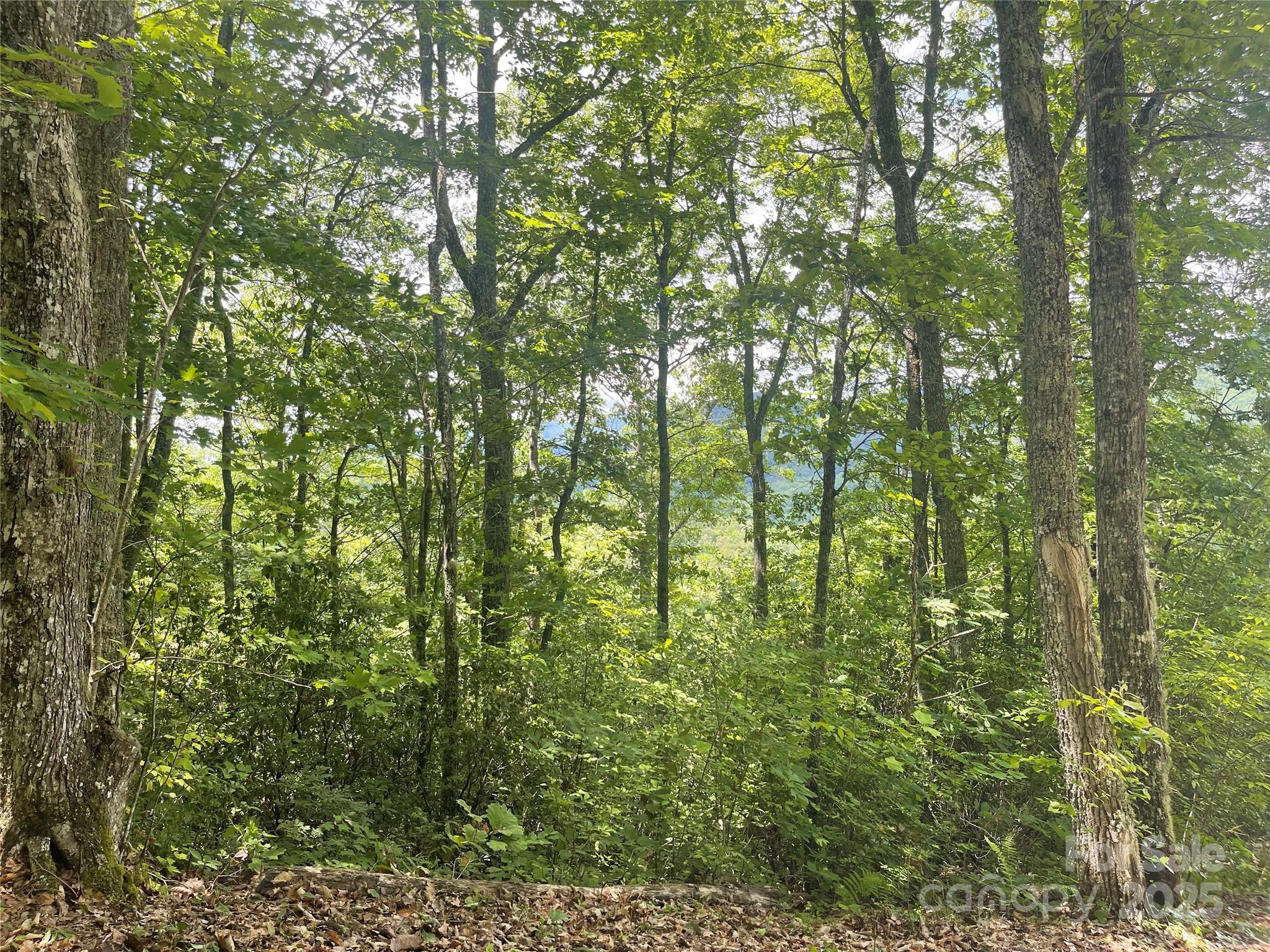 500 Fernwood Drive Bryson City NC 28713