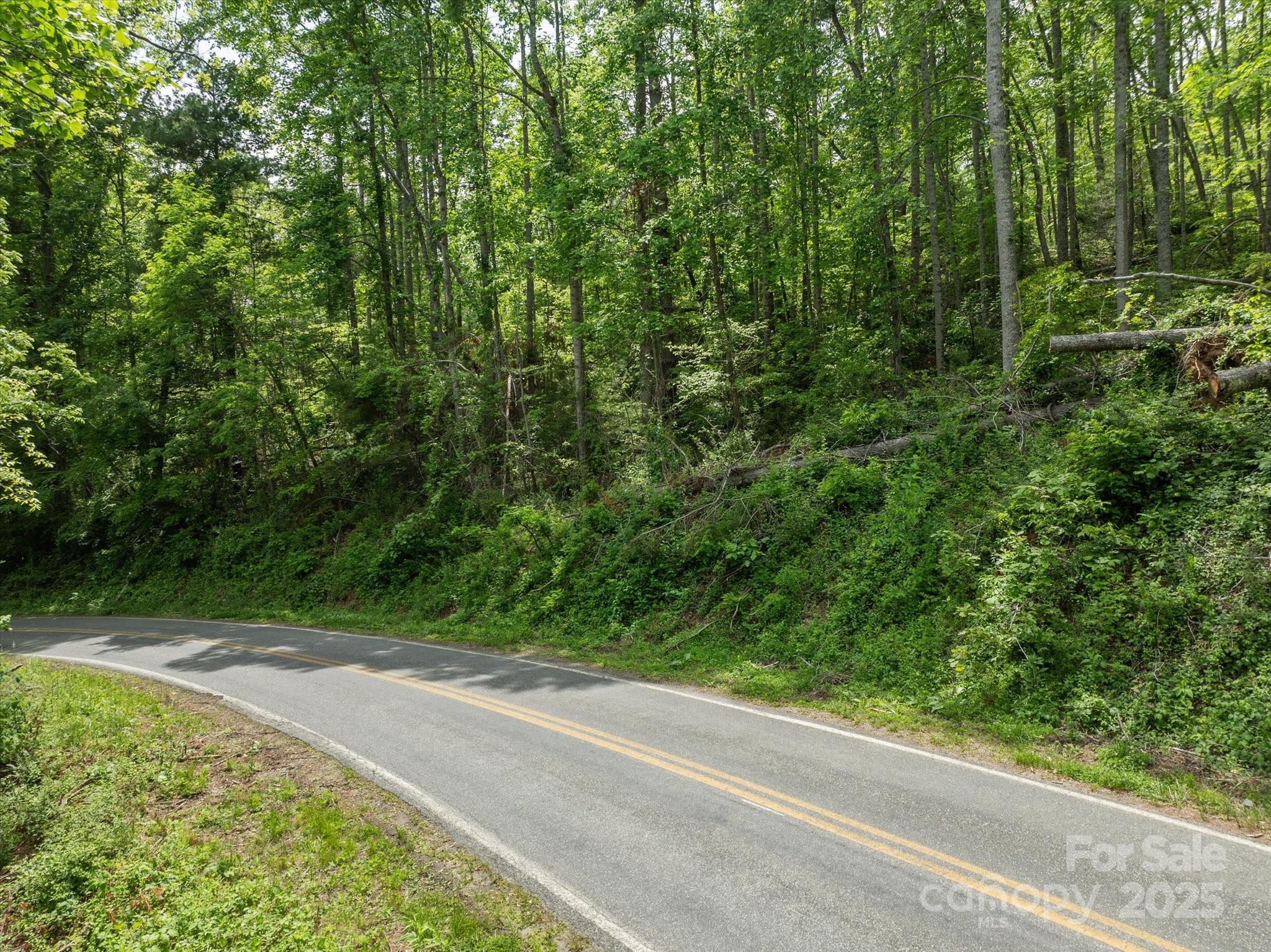 99999 Moody Cove Road Weaverville NC 28787