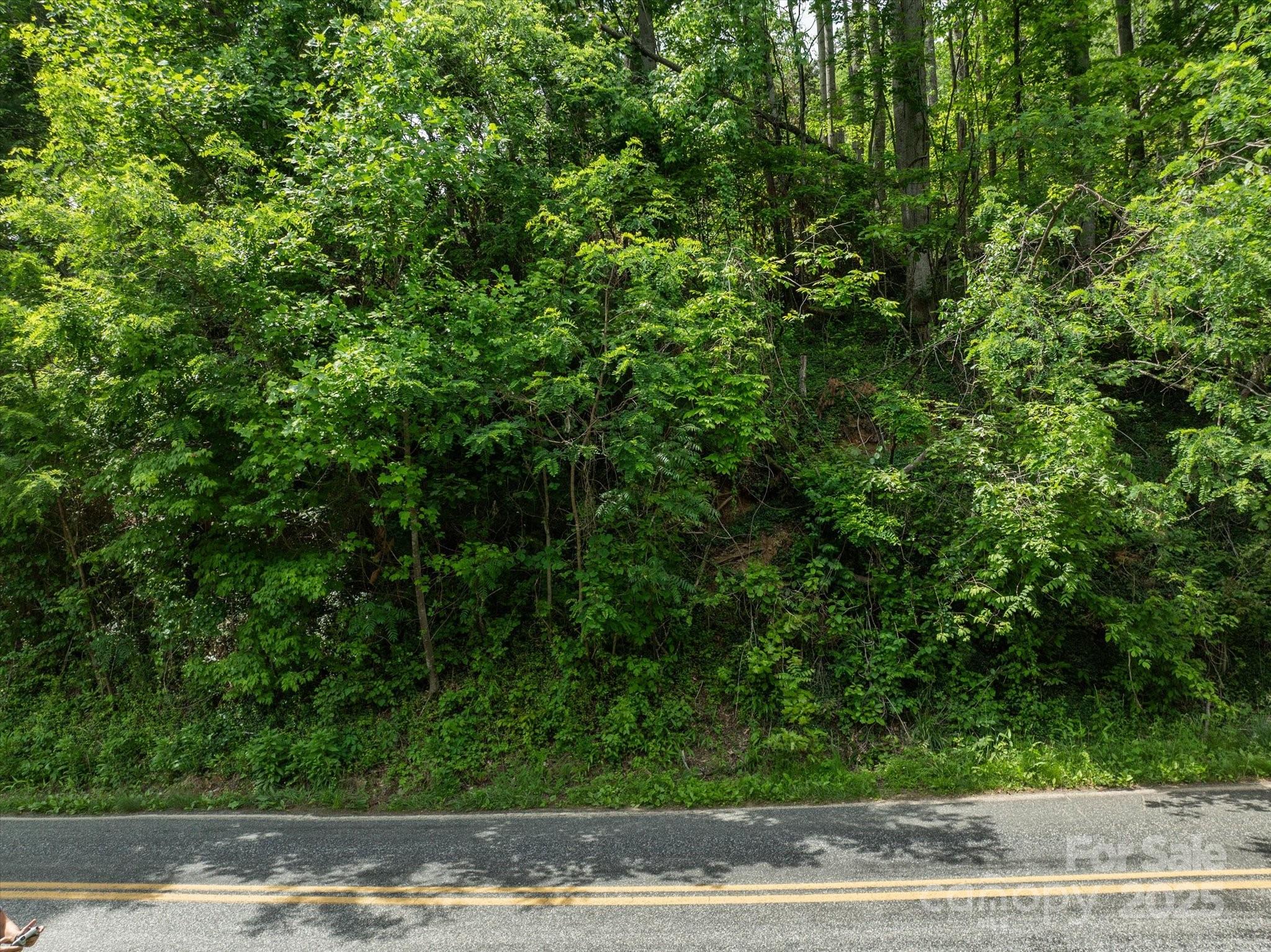 99999 Moody Cove Road Weaverville NC 28787