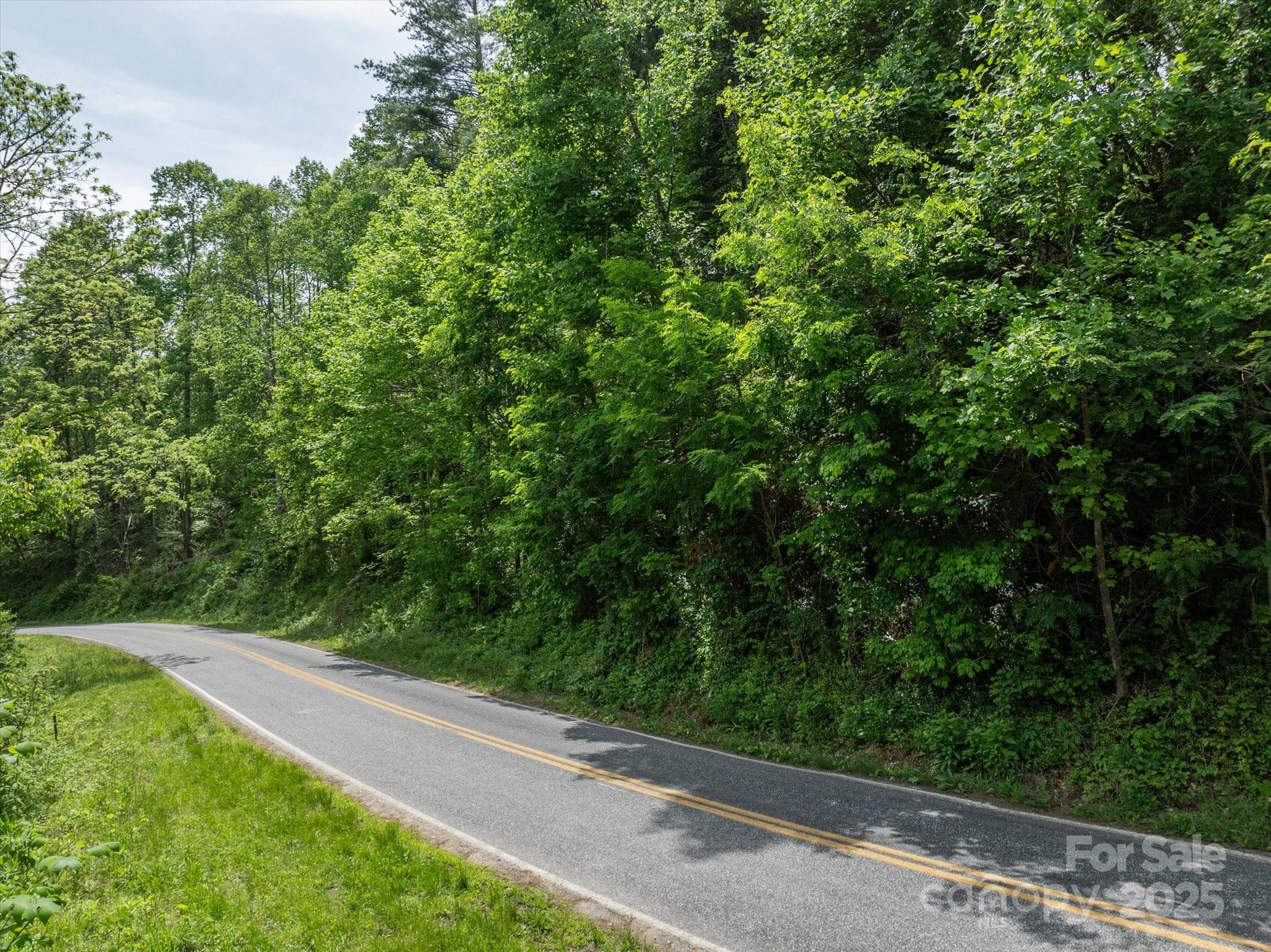 99999 Moody Cove Road Weaverville NC 28787