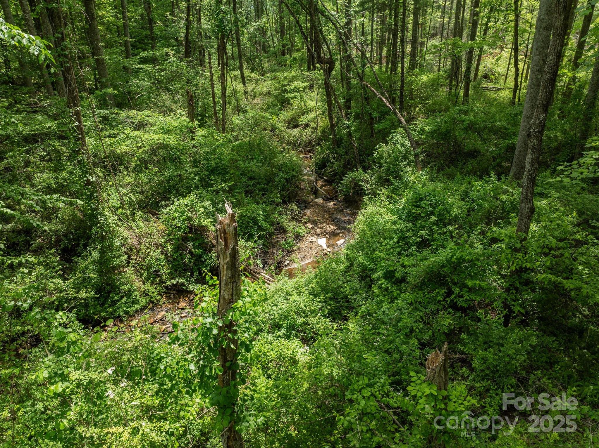 99999 Moody Cove Road Weaverville NC 28787