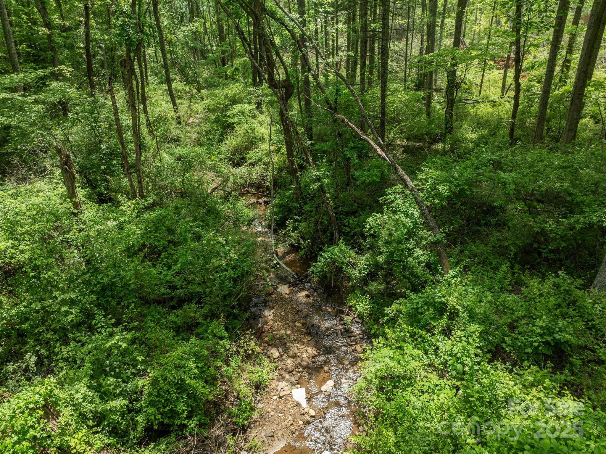 99999 Moody Cove Road Weaverville NC 28787
