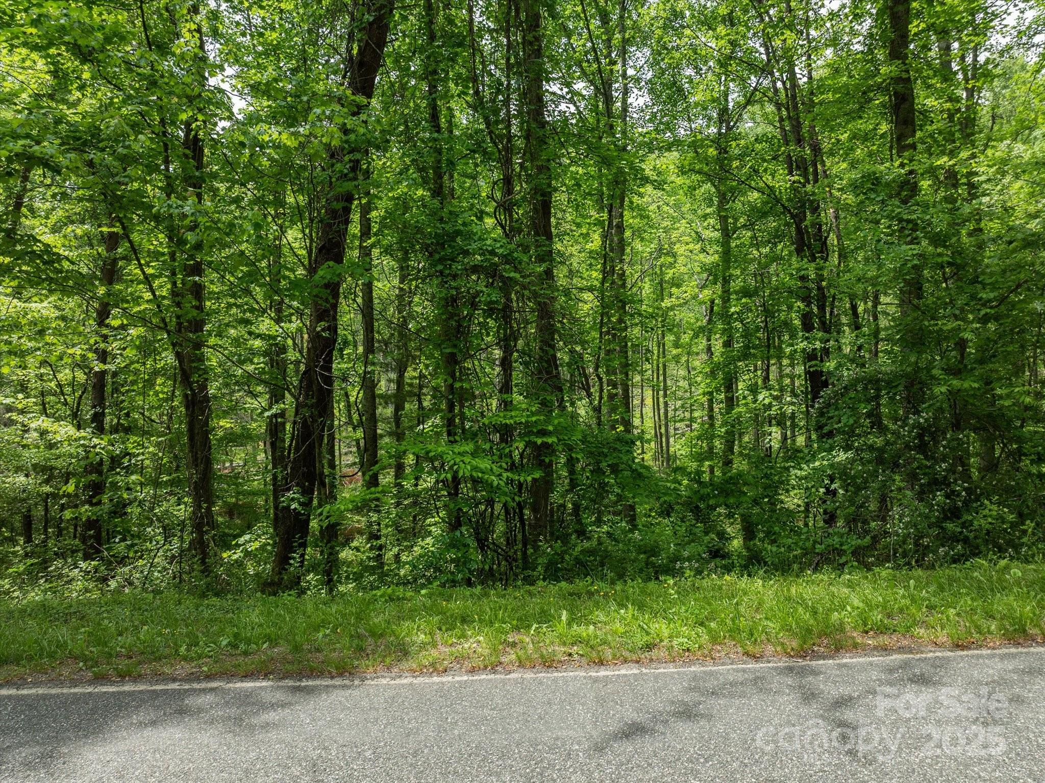 99999 Moody Cove Road Weaverville NC 28787