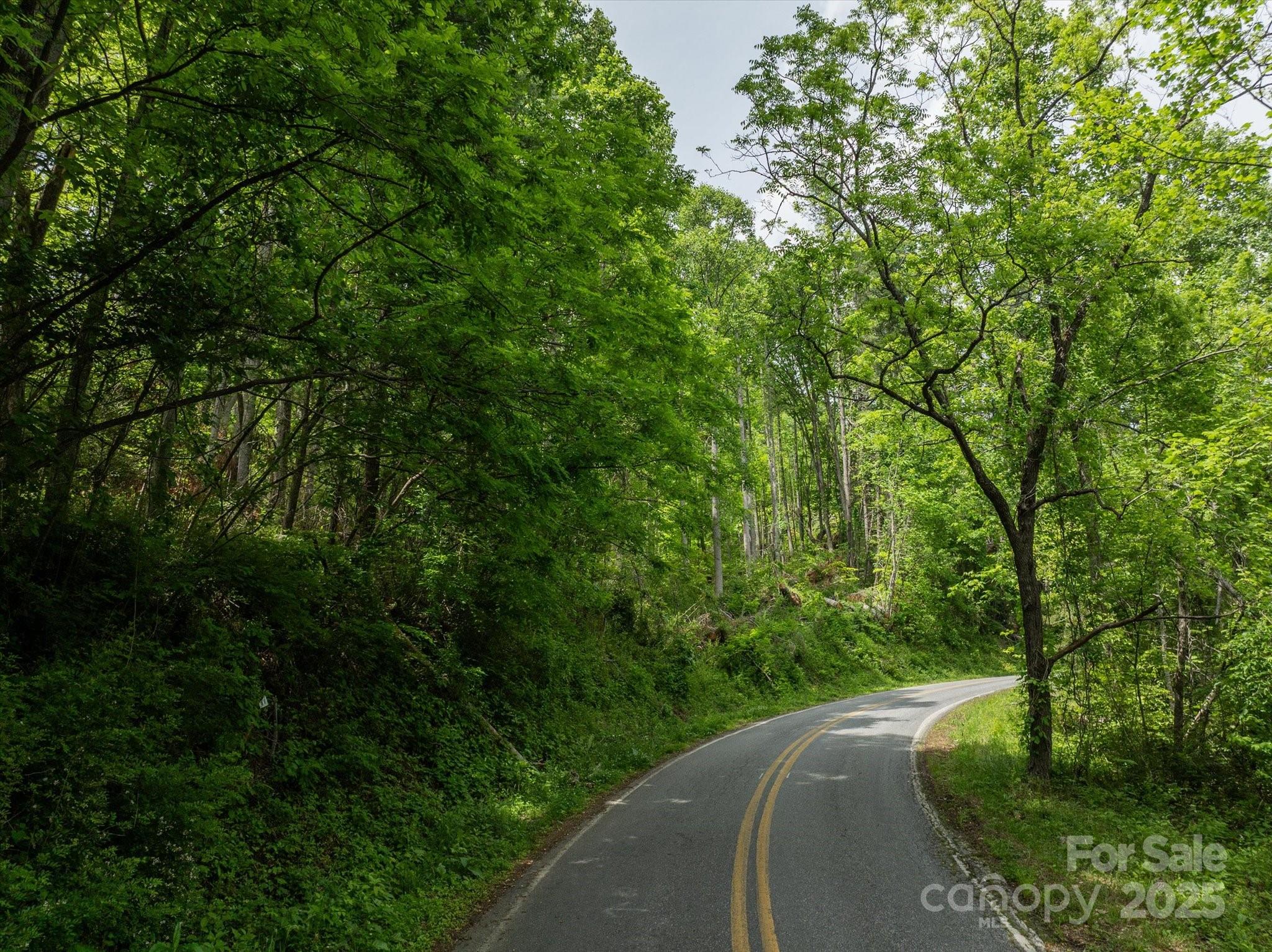 99999 Moody Cove Road Weaverville NC 28787