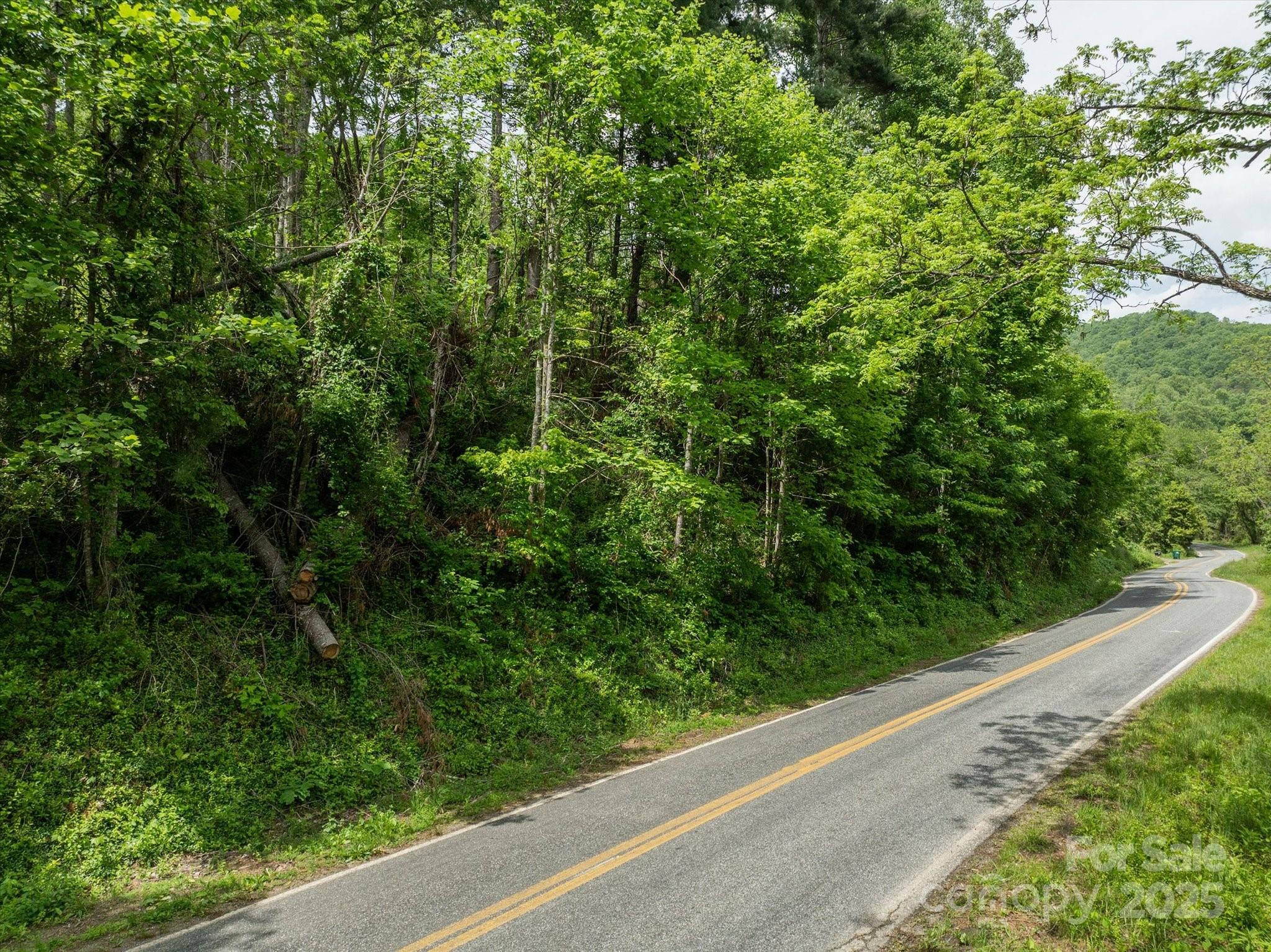 99999 Moody Cove Road Weaverville NC 28787