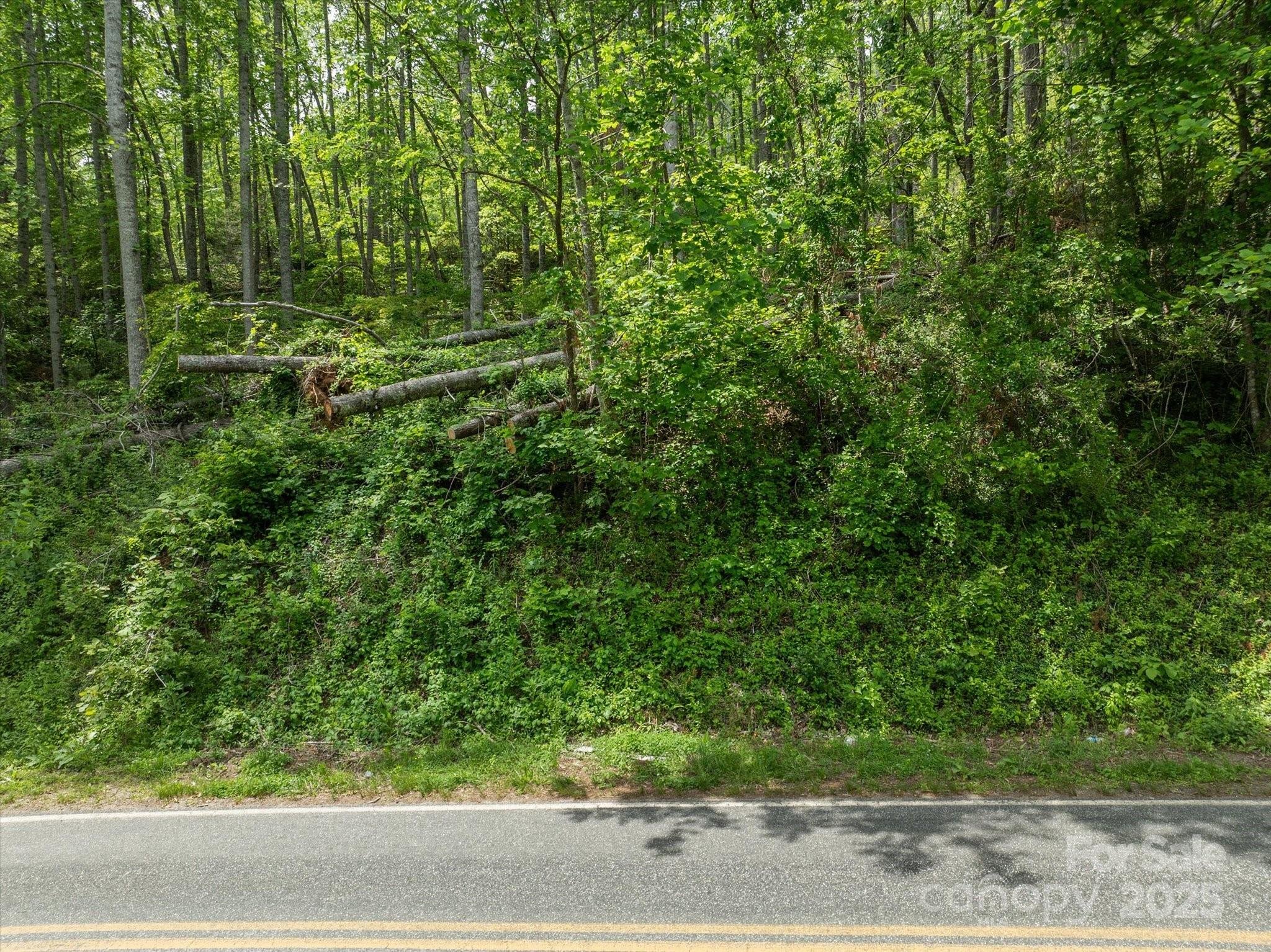 99999 Moody Cove Road Weaverville NC 28787
