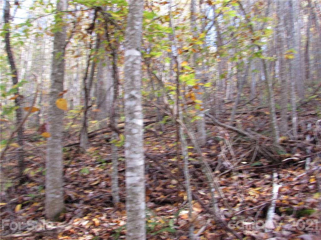 E- 8 Red Wolf Run Mars Hill NC 28754