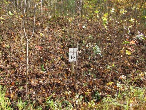 E- 8 Red Wolf Run Mars Hill NC 28754