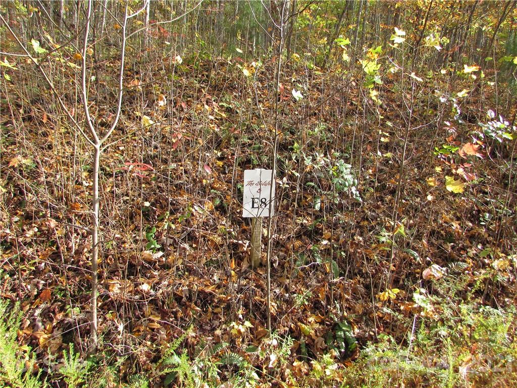 E- 8 Red Wolf Run Mars Hill NC 28754