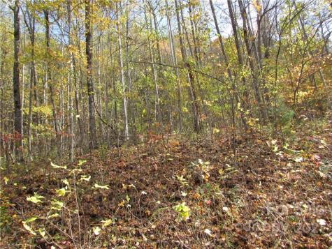 E- 8 Red Wolf Run Mars Hill NC 28754