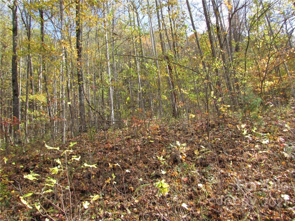 E- 8 Red Wolf Run Mars Hill NC 28754