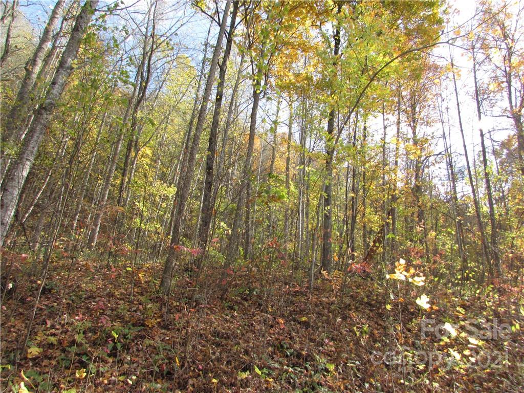 E- 8 Red Wolf Run Mars Hill NC 28754