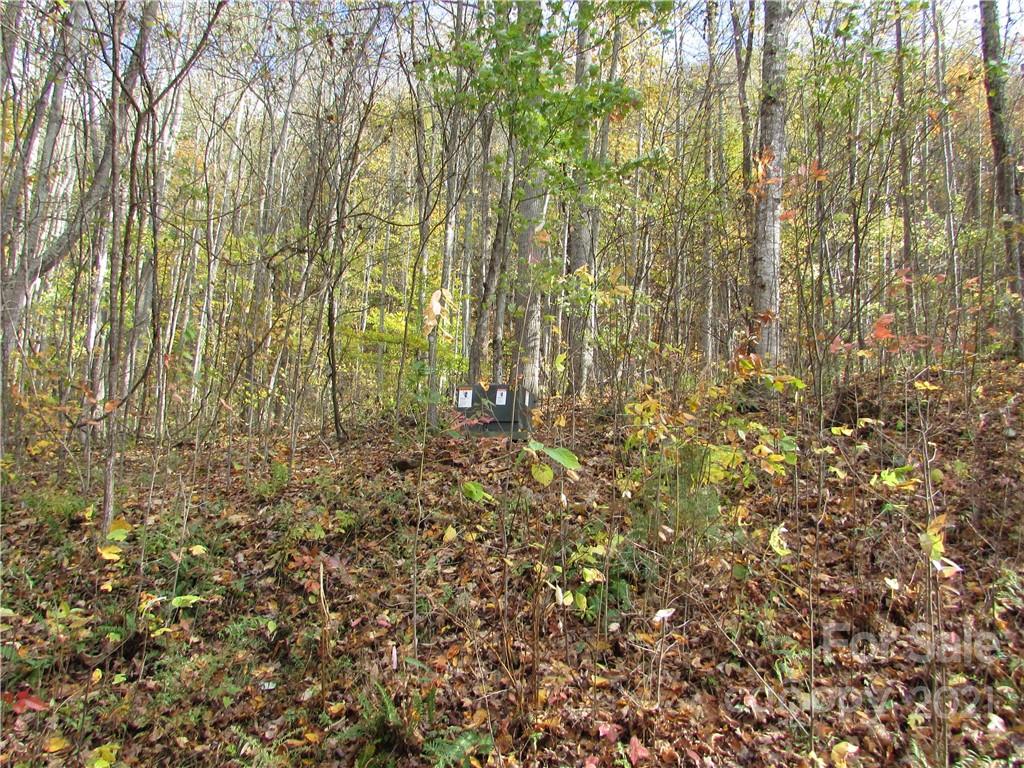 E- 8 Red Wolf Run Mars Hill NC 28754