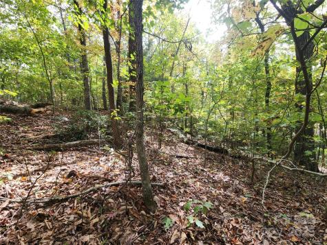 99999 N Pointe Drive Zirconia NC 28790