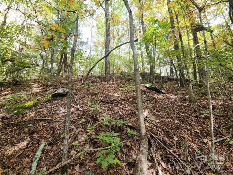 99999 N Pointe Drive Zirconia NC 28790