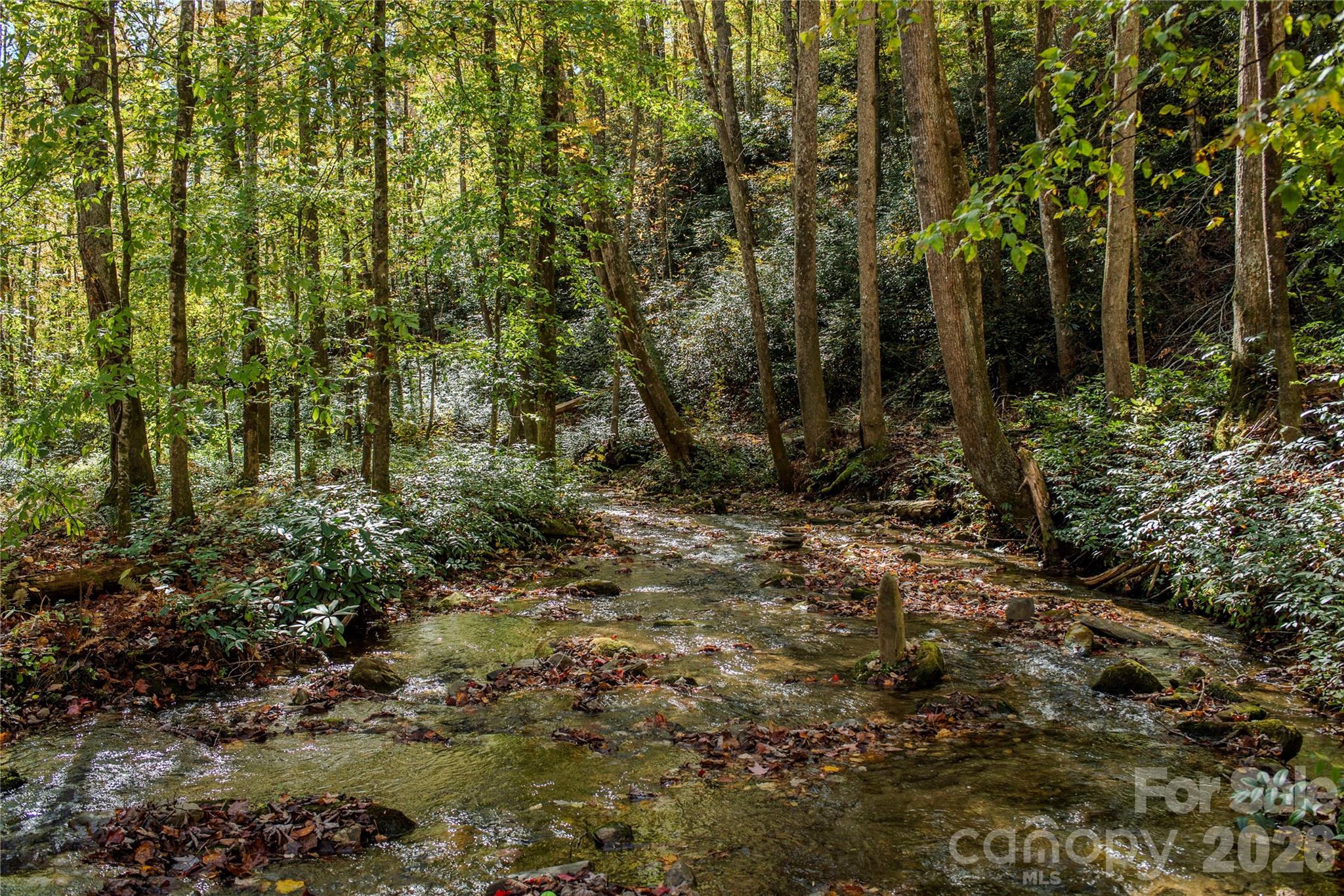195 Still Waters Lane Brevard NC 28712