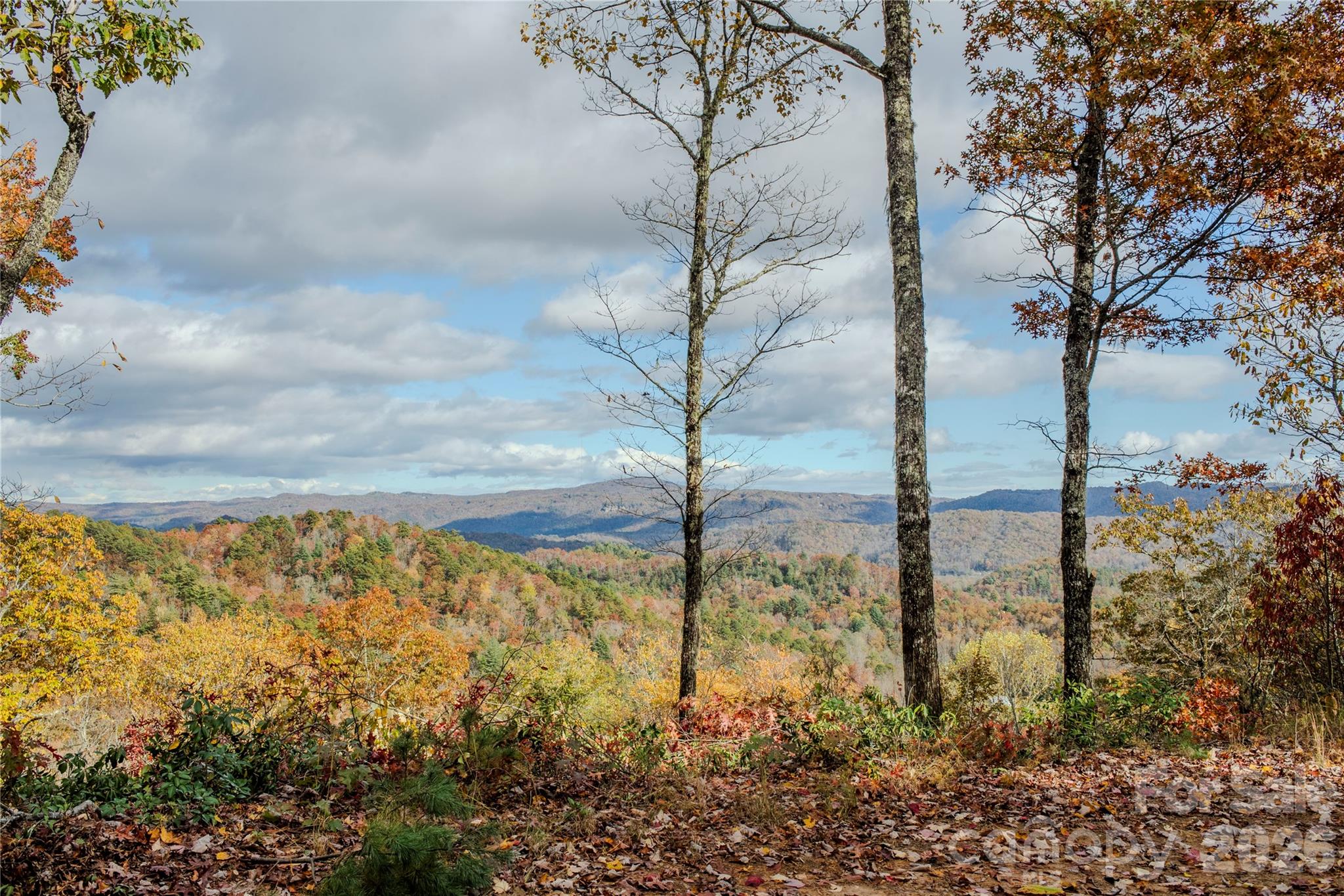 195 Still Waters Lane Brevard NC 28712