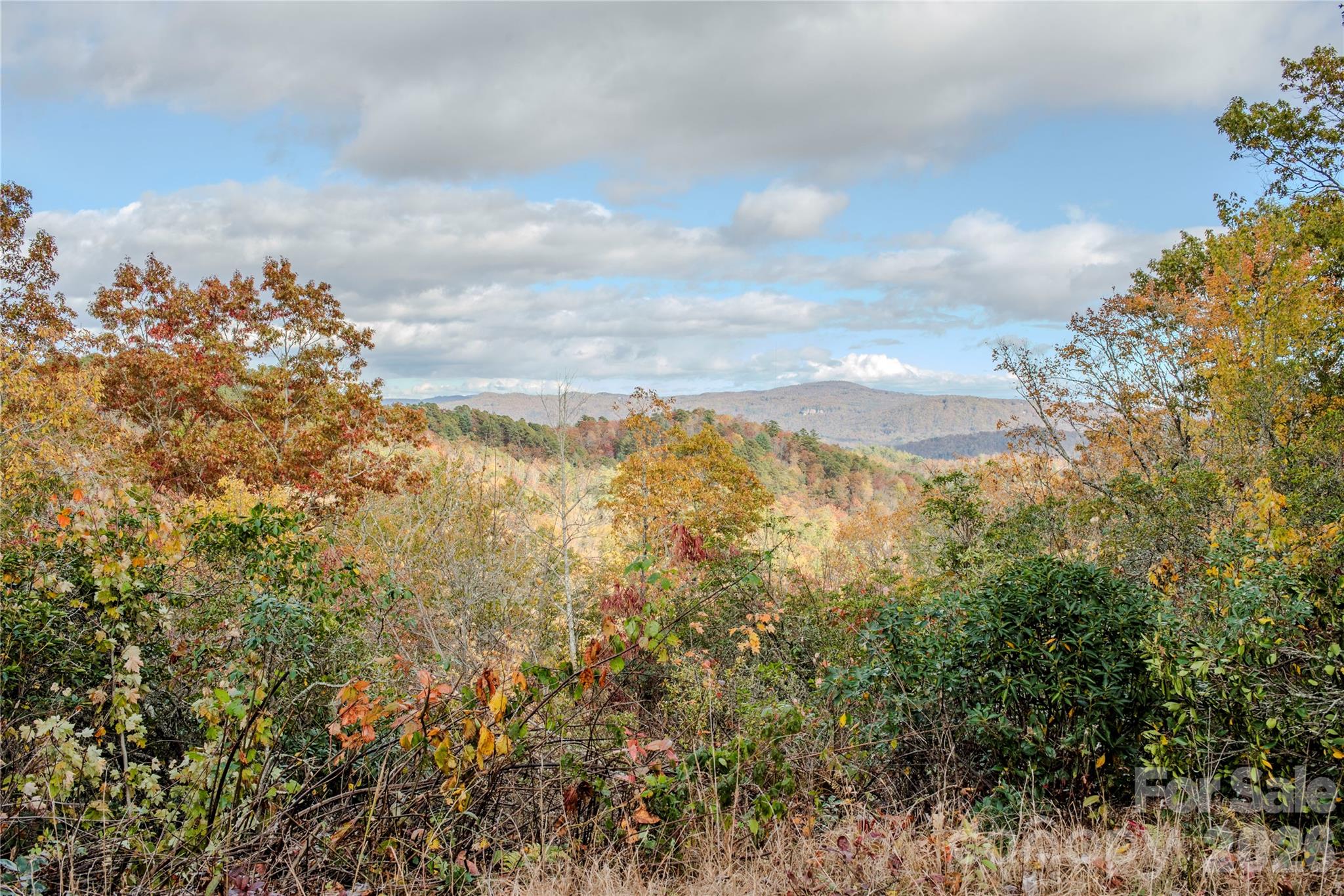 195 Still Waters Lane Brevard NC 28712