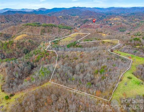 1231 Baileys Branch Road Marshall NC 28753