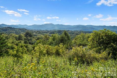 1231 Baileys Branch Road Marshall NC 28753