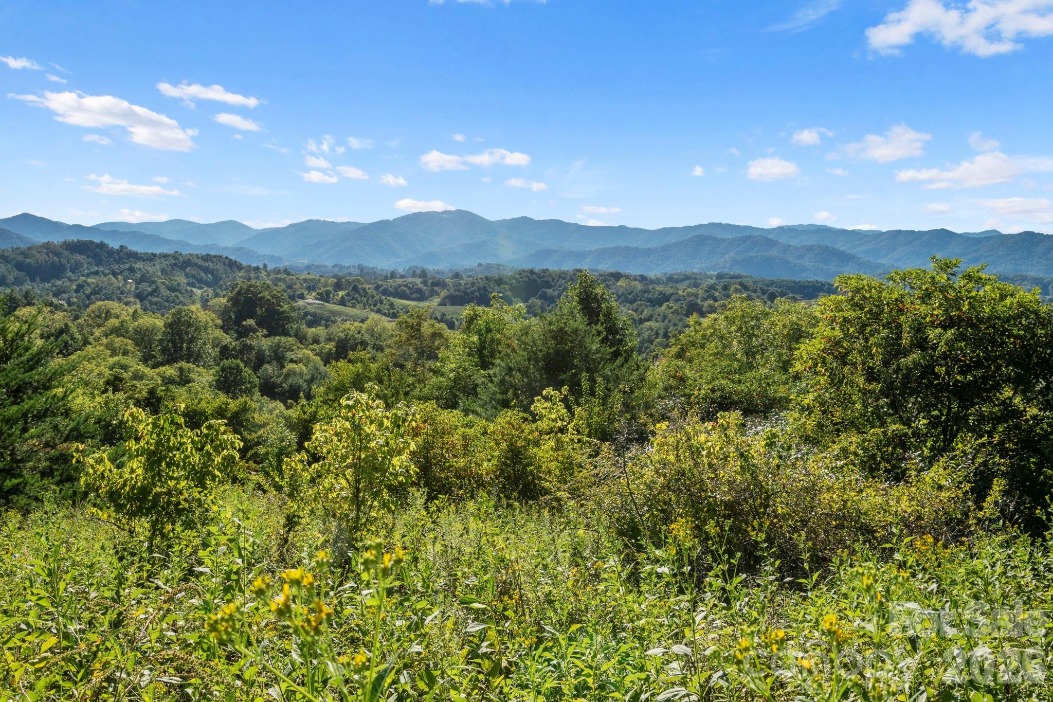 1231 Baileys Branch Road Marshall NC 28753