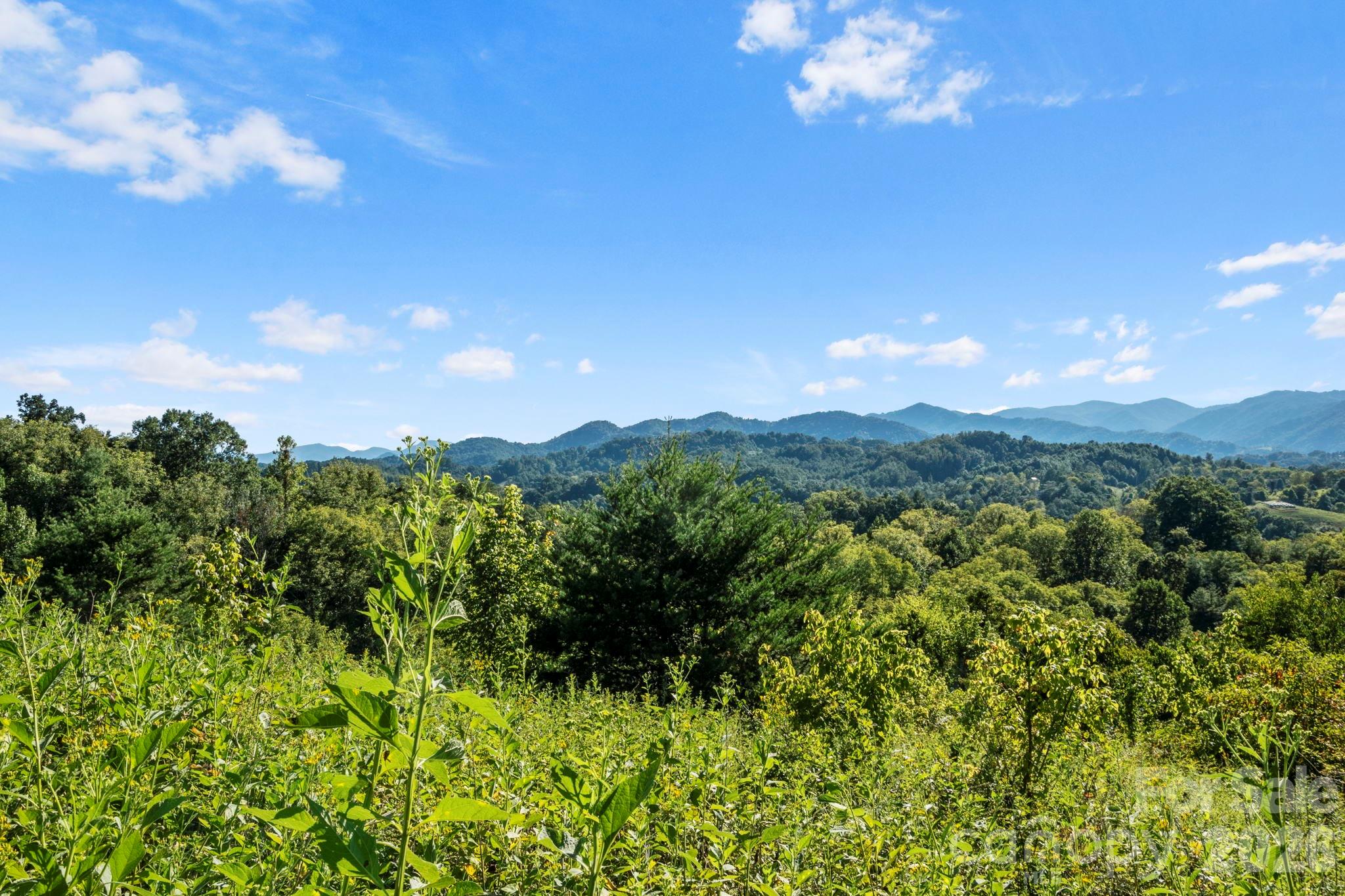1231 Baileys Branch Road Marshall NC 28753