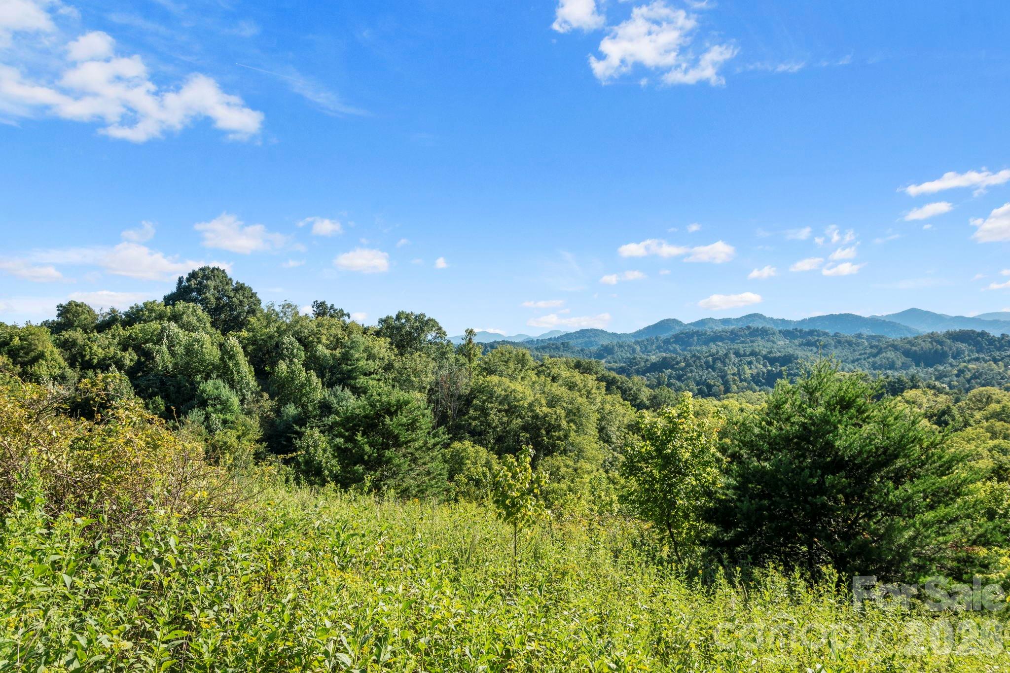 1231 Baileys Branch Road Marshall NC 28753