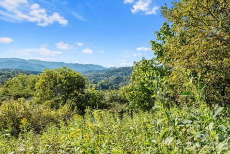 1231 Baileys Branch Road Marshall NC 28753
