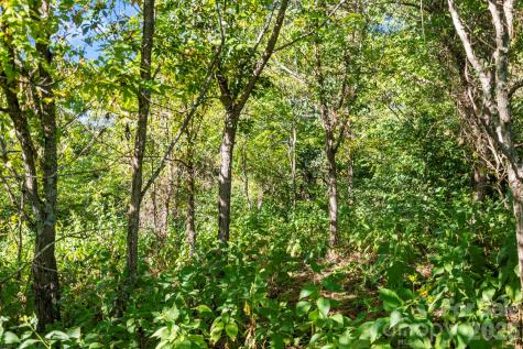 1231 Baileys Branch Road Marshall NC 28753