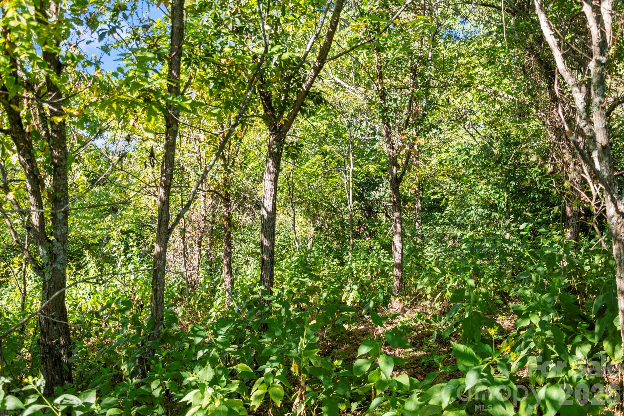 1231 Baileys Branch Road Marshall NC 28753