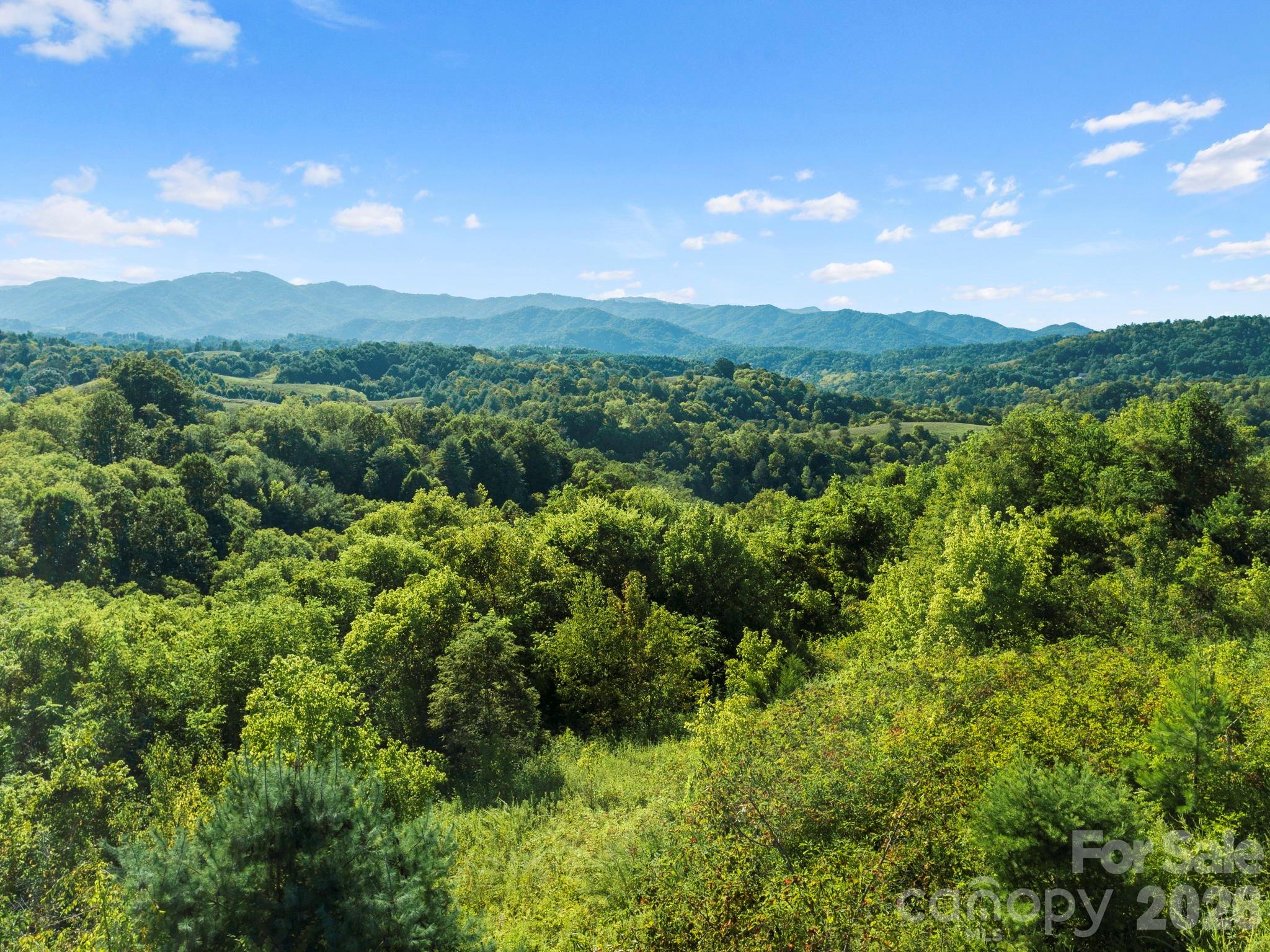 1231 Baileys Branch Road Marshall NC 28753